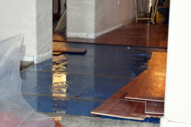 Professional Structural Drying technician working in Tebbetts, MO
